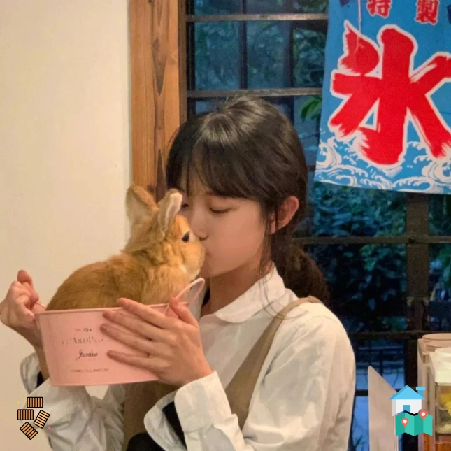 用户小林